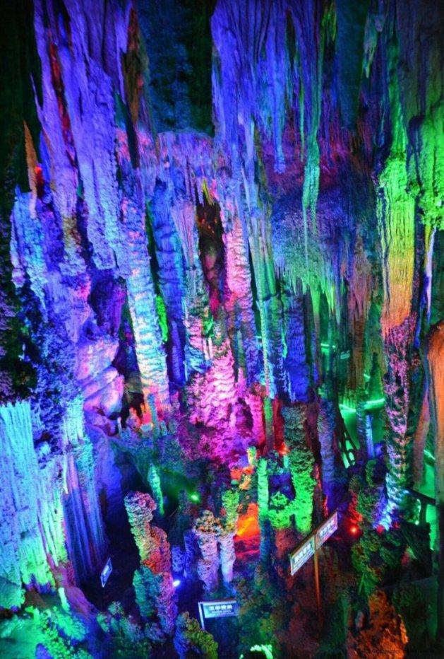 沪江开心词场