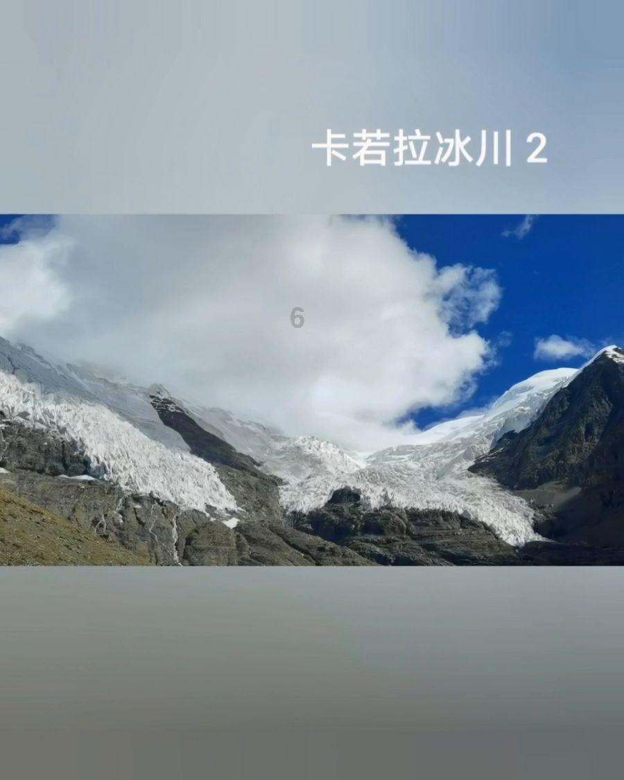 燃烧吧大脑装瓶子游戏