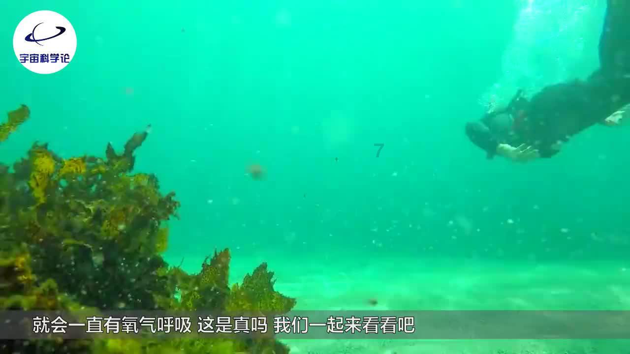 脑洞小老弟无实名认证